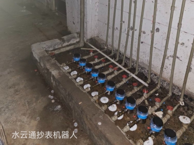 案例展示