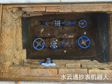 案例展示